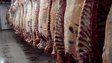 Photo of El Gobierno interviene por 90 días el mercado de la carne vacuna