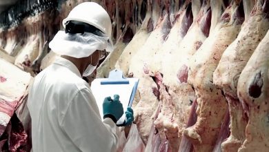 Photo of Las exportaciones de carne crecieron un 23%