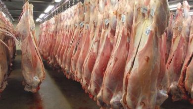 Photo of Argentina vuelve a exportar carne a Ucrania